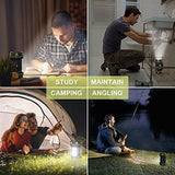 AlpsWolf 2 Pack Camping Lantern Rechargeable, LED Camping Flashlight, 4800 Capacity, 8 Modes Portable Camping Light for Emergency, Hurricane,Hiking, Power Outages, Camping Essentials