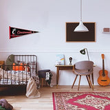 Rico Industries NCAA Classic 12" x 30" Felt Wall Décor Pennant - Great for Home/Bed Room/Man Cave Décor