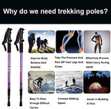 Aihoye Collapsible Trekking Poles - 2 Pack, Lightweight, Anti-Shock Walking Sticks - Adjustable for Men and Women