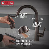Delta 9113-BL-DST Essa Kitchen Faucet, Standard, Matte Black