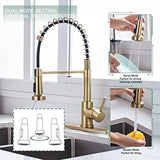 WEWE Brushed Gold Kitchen Faucet with Pull Down Sprayer, RV Brass Kitchen Faucet Stainless Steel Single Handle Spring Faucet with Deck Plate for Farmhouse Utility bar Laundry Sinks