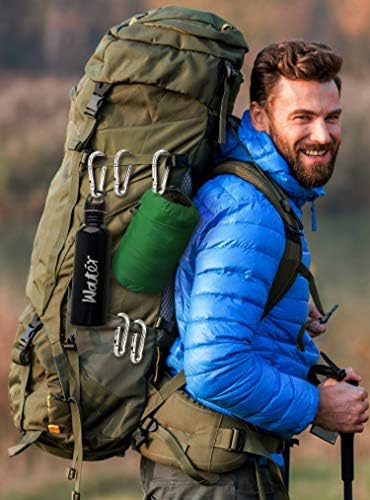 Carabiner Clip 5 Pack - Multipurpose Heavy Duty Snap Hooks - Small and Large Clips for Keys - Carribeaner Hook