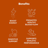 L'Evate You Vitality Daily Greens Powder (28 Servings) 30 Superfoods, 9 Greens - for a Cellular Energy Boost, Powered by M-Charge Complex for All Day Energy (Chocolate)