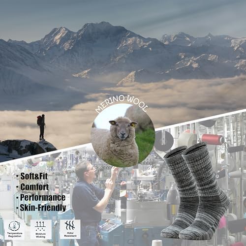 Ortis Men's Merino Wool Cushion Crew Socks with Moisture Wicking Control Light Weight Breathable for Outdoor Hiking Cycling