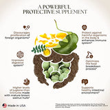 Original Green Black Walnut Hull Tincture (Extra Strength) by Dr. Hulda Clark, 4 oz