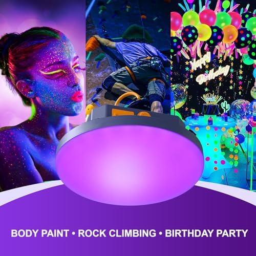 96 LED 395nm UV / 6500K Flashlight Camping Blacklight , 10000mAh Rechargeable, 3000 Lumens, Glow Lights for Party , Bedroom, Stage Lighting, Fluorescent Poster , Dog/Cat Urine , Bed Bug