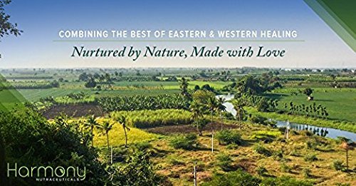 Bhumi Amla Supreme - Chanca Piedra – Harmony Nutraceutical Highest Potency, Maximum Bioactivity, Pure Herbal Supplement for Liver, Gallbladder & Kidney