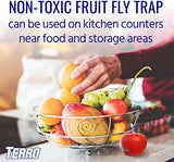 Terro Fruit Fly Traps for Indoors (6 Pack) + 270 Days of Lure Supply