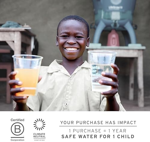 LifeStraw Go Series – Insulated Stainless Steel Water Filter Bottle for Travel and Everyday Use, Removes Bacteria, Parasites and Microplastics, Improves Taste, 1L Cactus Green