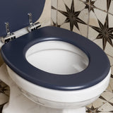 Universal Toilet Seat | Soft Close Hinges | Easy Clean | Quick Installation | Dark Grey