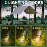 4 Pack Camping Lights Rechargeable, Hanging Tent Lights Bulb with Hook, Timer Function, 3 Lighting Modes Tent Lamp for Camping, Hiking, Backpacking, Emergency Outage (White)