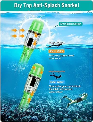 Snorkel Set Adults Snorkeling Gear Anti-Fog Panoramic View Swim Mask Dry Top Snorkel Kit with Carry Bag for Snorkeling Scuba Diving Swimming Travel