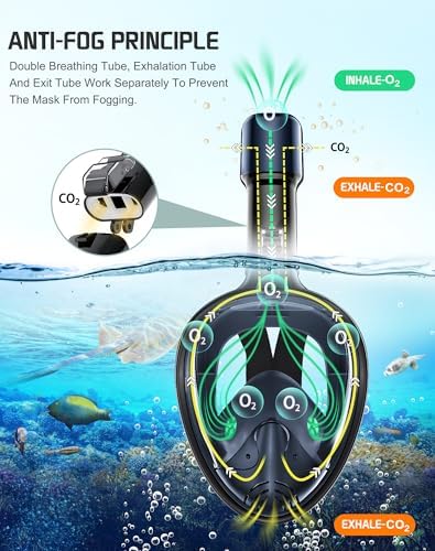 Greatever Full Face Snorkel Mask, Snorkeling Gear for Adults with Latest Dry Top Breathing System and Detachable Camera Mount, Foldable Snorkel Mask Adult, Snorkels Anti-Fog & Anti-Leak