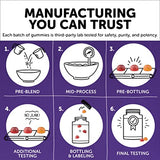 SmartyPants Toddler Multivitamin Gummies: Omega 3 Fish Oil (EPA/DHA), Vitamin D3, C, Vitamin B12, B6, A, K & Zinc, Biotin, Beta Carotene, Gluten Free, Three Fruit Flavors, 180 Count (60 Day Supply)