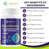 300 Billion AFU Akkermansia Muciniphila - A Live Probiotics for Women Men, for GLP-1, Probiotics for Digestive, Gut, Immune & Overall Health, Enhances Gut Digestive Lining function, 60 Capsules