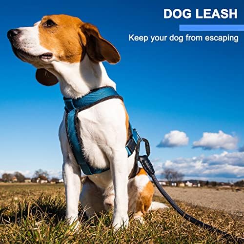 Heavy Duty Lightweight Locking Carabiner Clips D Ring for Camping Hiking Outdoor Gym etc, Carabiner with Lock Small Carabiners for Dog Leash & Harness