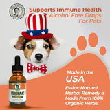 Essiac for Pets | USDA Organic | Daily Drops for Immune Support and Longevity | Pre-Measured Dropper | Alcohol Free Concentrated Formula | 2oz (59ml)