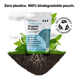 Complement Organic Unflavored Vegan Protein Powder (15 Servings) Low Carb, Low Calorie, Sugar Free, Soy Free, Non-GMO, Gluten Free, Non Dairy- Yellow Pea, Pumpkin Seed- 15g Plant Based Protein Powder