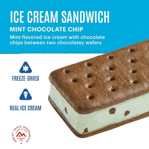 Mountain House Mint Chocolate Chip Ice Cream Sandwich | Freeze Dried Backpacking & Camping Food | 12-Pack