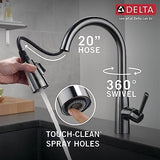 Delta 9113-AR-DST Essa Kitchen Faucet, Standard, Arctic Stainless