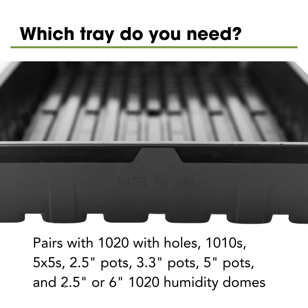 Bootstrap Farmer 1020 Trays (10-Pack), Heavy Duty No-Hole Flats for Microgreens, Fodder & Seedling Propagation - 1.8mm Thick Reusable Plastic