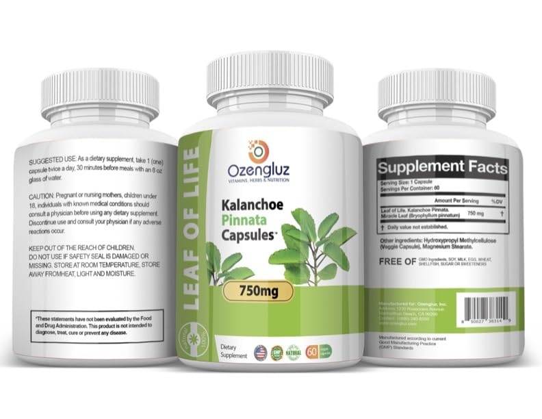 Kalanchoe Pinnata-Leaf of Life (Bryophyllum Pinnatum) 60 Cápsulas De 750mg Bottle.