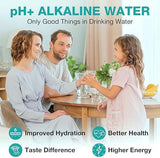 SimPure T1-400ALK 1-Year Replacement Filter Cartridge Pack Set for T1-400ALK Tankless Reverse Osmosis Water Filter System (2*PP + 2*CTO + 1*RO + 2*ALK)