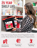 ReadyWise, 120 Servings, Vegetable Bucket, Broccoli, Sweet Corn, Green Beans, Peas, Freeze Dried, 20 Years Shelf Life, Emergency Food