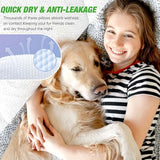 Dog Diapers Male Disposable Super Absorbent, 100 Count, Male Dog Wraps Leak Proof, Ultra Dry & Breathable, Small