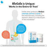 BioGaia Gastrus Chewable Tablets, Adult Probiotic Supplement for Stomach Discomfort, Constipation, Gas, Bloating, Regularity, Non-GMO, 30 Tablets, 1 Pack