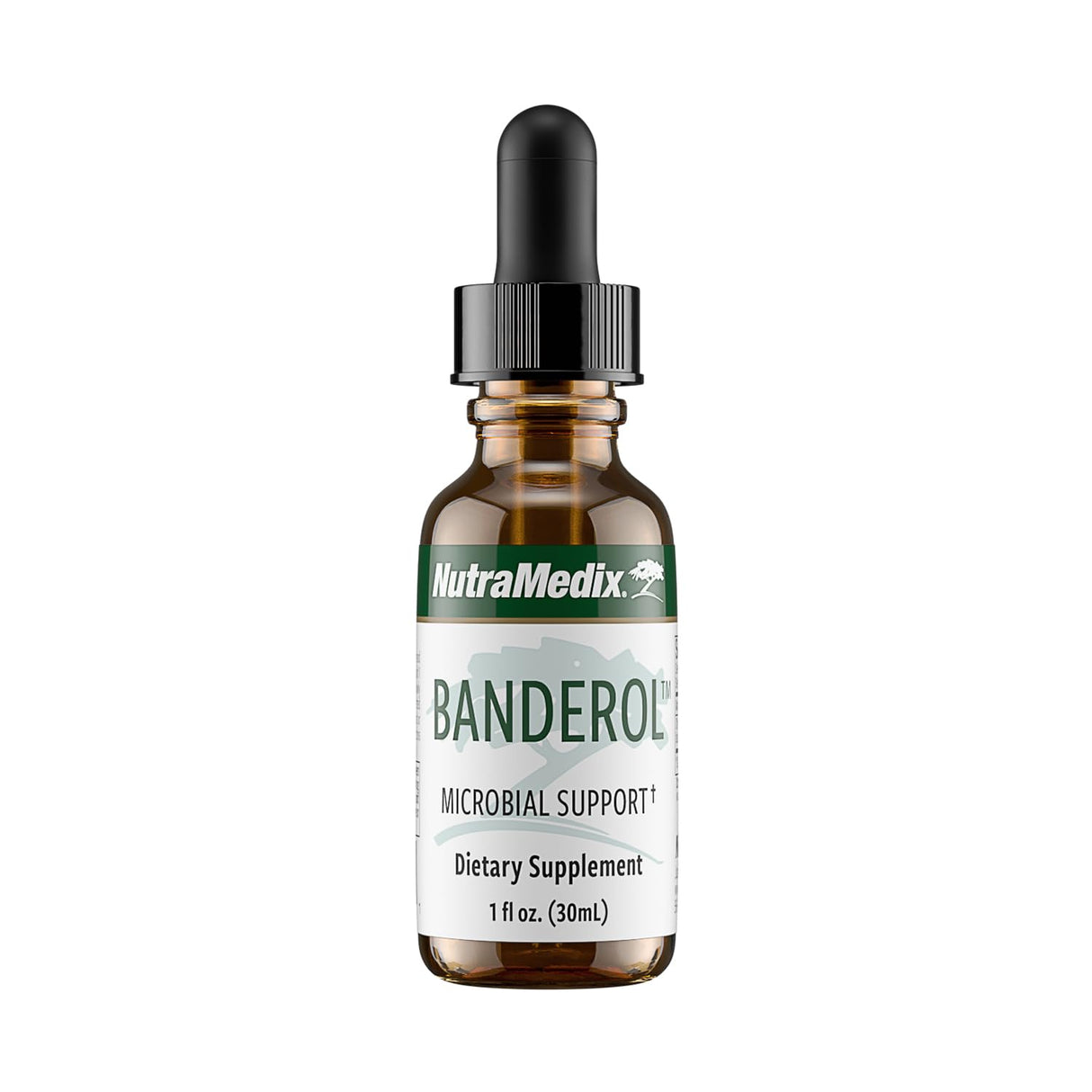 NutraMedix Daily Immune Support Supplement - Banderol Herbal Supplements for Immune System Support - Vegan Tincture - Bioavailable Otoba Bark Extract Liquid Drops (1 oz/30 ml)