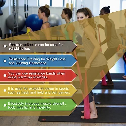 5 Pcs Professional Resistance Bands. Latex-Free, Elastic Band, Work Out Bands, Stretch Bands for Working Out Women or Men, Exercise Bands Set for Physical Therapy, Yoga, Pilates