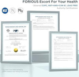 FORIOUS Kitchen Faucet with Pull Down Sprayer, Brushed Nickel High Arc Modern Classic Sink Faucet Stainless Steel with Deck Plate Fit for 1 or 3 Hole for Pot Filler Bar Farmhouse Laundry Rv