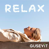 GUSEVIT Ashwagandha Gummies 1,500mg with Vitamin D & Zinc | Vegan Ashwaghandha Supplement for Mood & Immune Support, Focus & Relaxation | Gluten-Free, Non-GMO | Cherry Flavor, 60 Ct