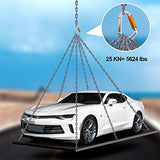 FVW Auto Locking Rock Climbing Carabiner Clips,Professional 25KN (5620 lbs) Heavy Duty Caribeaners for Rappelling Swing Rescue & Gym etc, Large D-Shaped Carabiners