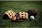 Rawlings | Select PRO LITE Youth Baseball Glove | Pro Player Models | Sizes 10.5" - 12.25" | Multiple Styles