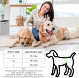 Dog Diapers Male Disposable Super Absorbent, 100 Count, Male Dog Wraps Leak Proof, Ultra Dry & Breathable, Small