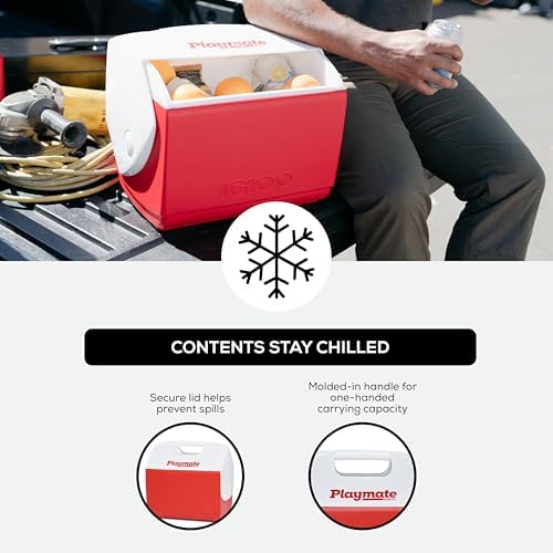 Igloo Classic Playmate Coolers