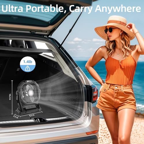 Camping Fan Rechargeable, 20000mAh Battery Powered Portable Fan with LED Light & Hook, 4-Speed 270° Adjustable, Camping Essentials for Tent, Travel, Car, Outdoor, Indoor, BBQ, Fishing, Jobsite