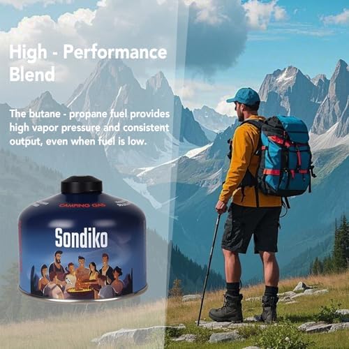 Sondiko Iso Butane Fuel Canister 230g 2 Pack, Camping Stove Fuel