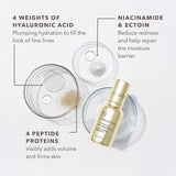 Dr Dennis Gross DermInfusions Fill + Repair Serum: Immediately Fills Lines, Plumps & Repairs, 1 oz