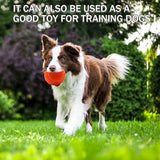 Tennis Balls, 20 Pack Training Tennis Balls,High Elasticity Practice Tennis for Beginner, Exercise Playing Balls for Pet Dog