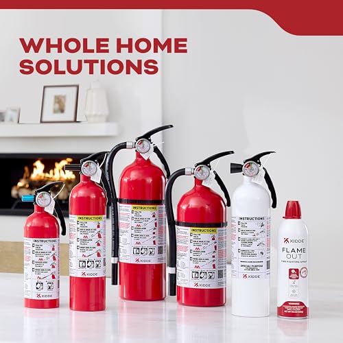 Kidde Multi Purpose Fire Extinguisher for Home, Office, Dorm, Residential, 1A10BC, 2 Pack, manual