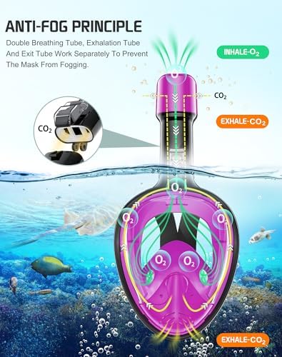 Greatever Full Face Snorkel Mask, Snorkeling Gear for Adults with Latest Dry Top Breathing System and Detachable Camera Mount, Foldable Snorkel Mask Adult, Snorkels Anti-Fog & Anti-Leak