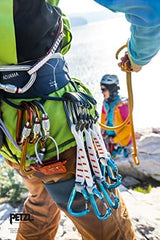 Petzl Sm'D Carabiner - Versatile, Lightweight, Compact, D-Shaped Locking Carabiner for Rock and Ice Climbing