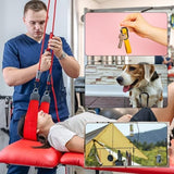 Carabiner Clip - Heavy Duty Carabiners Carabeaner D Ring Shape,Key Chain Clip Hook,Keychain Clip,Multipurpose for Camping, Hiking,Backpacking or Other Outdoor Activities.