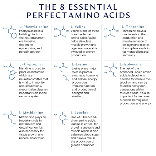 BodyHealth PerfectAmino Powder Strawberry (30 Serving) Best Pre/Post Workout Recovery Drink, 8 Essential Amino Acids Energy Supplement with 50% BCAAs, 100% Organic, 99% Utilization