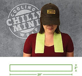 FROGG TOGGS Chilly Mini Cooling Neck Towel, 6 count, 29"x3"