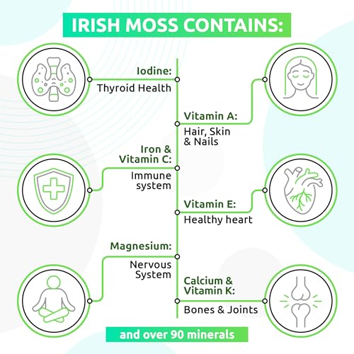 TrueSeaMoss Wildcrafted Irish Sea Moss Gel –7 Flavors- Nutritious Organic Raw Seamoss Rich in Minerals, Proteins & Vitamins – Antioxidant Health Supplement, Vegan Made in USA (Mango/Pineapple, 1)