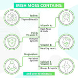 TrueSeaMoss Wildcrafted Irish Sea Moss Gel –7 Flavors- Nutritious Organic Raw Seamoss Rich in Minerals, Proteins & Vitamins – Antioxidant Health Supplement, Vegan Made in USA (Mango/Pineapple, 1)